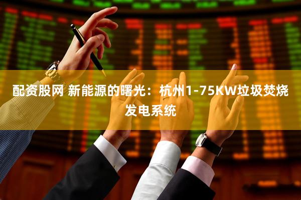 配资股网 新能源的曙光:杭州1-75KW垃圾焚烧发电系统